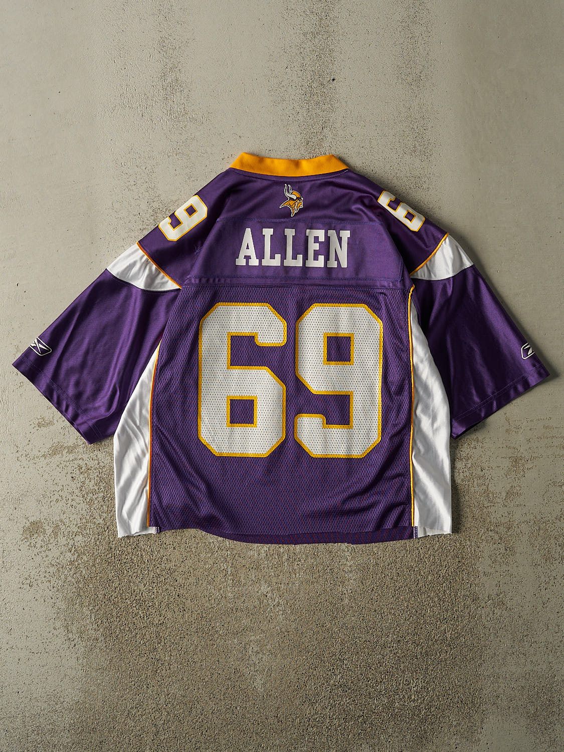 Vintage Y2K Purple Minnesota Vikings #69 Allen Football Jersey (M/L)