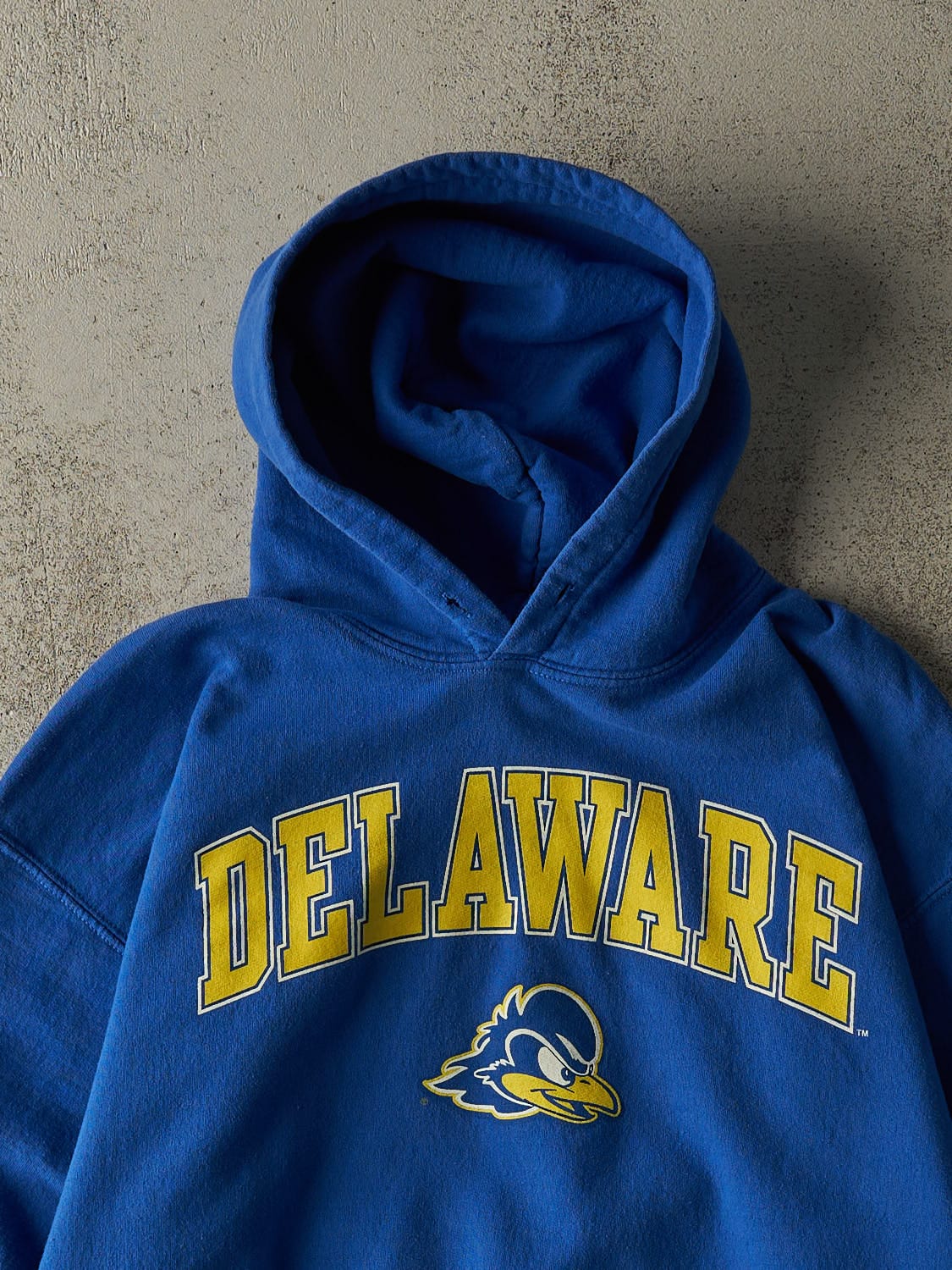 Vintage Y2K Blue University of Delaware Hoodie (M)