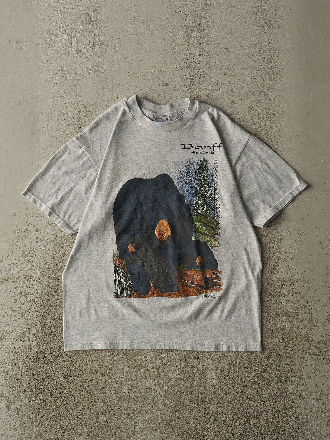 Vintage 90s Heather Grey Banff Alberta Nature Tee (XS/S)