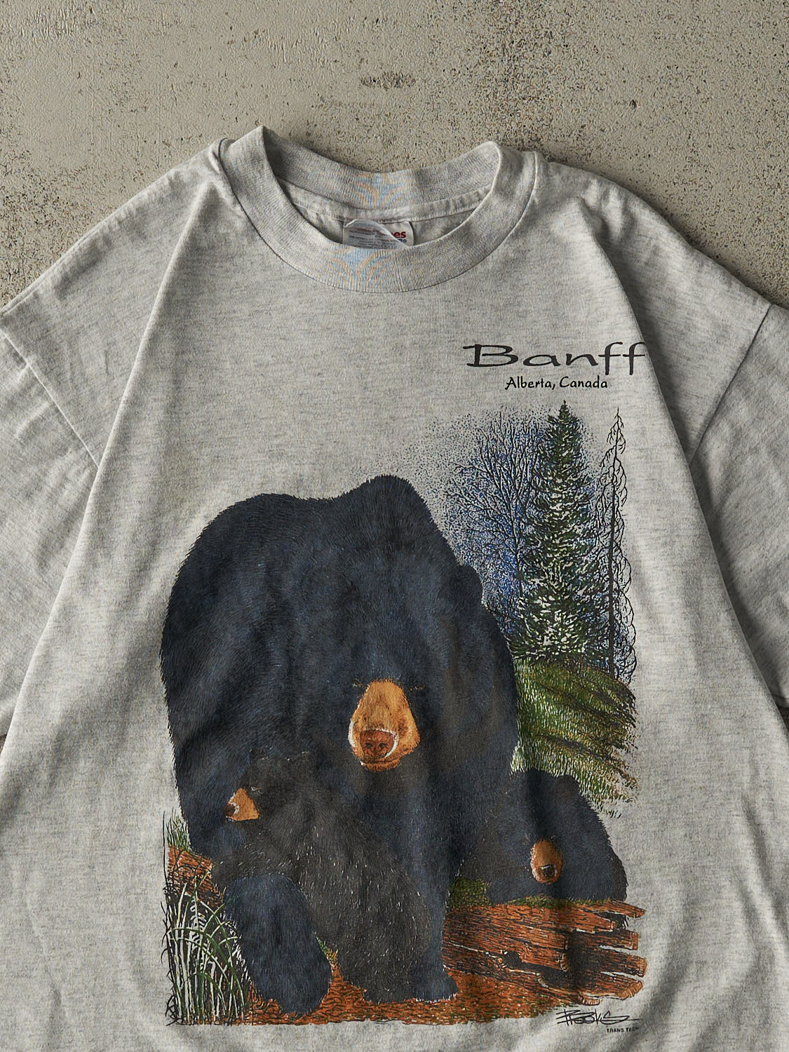 Vintage 90s Heather Grey Banff Alberta Nature Tee (XS/S)