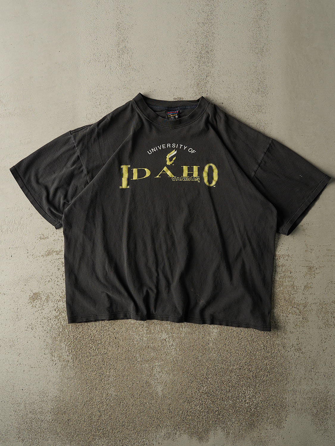 Vintage 90s Faded Black University of Idaho Vandals Tee (XL)