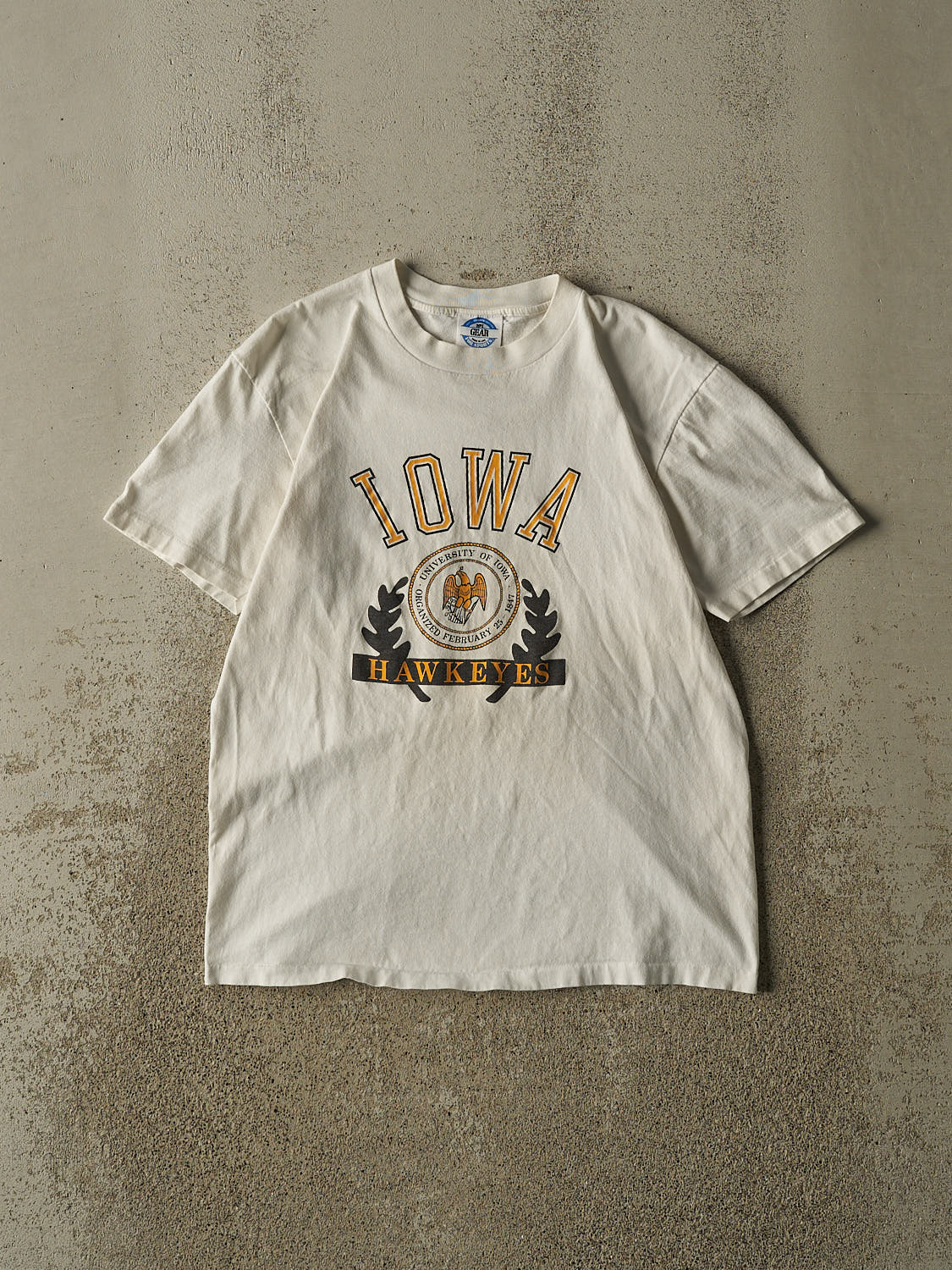 Vintage 90s Beige University of Iowa Hawkeyes Single Stitch Tee (S/M)