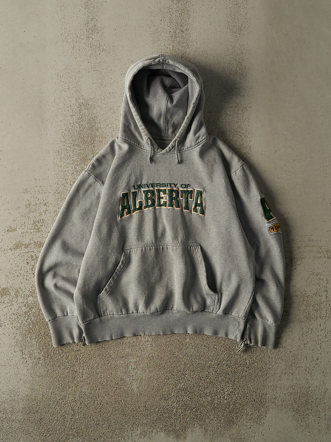 Vintage 90s Grey University of Alberta Hoodie (S/M)