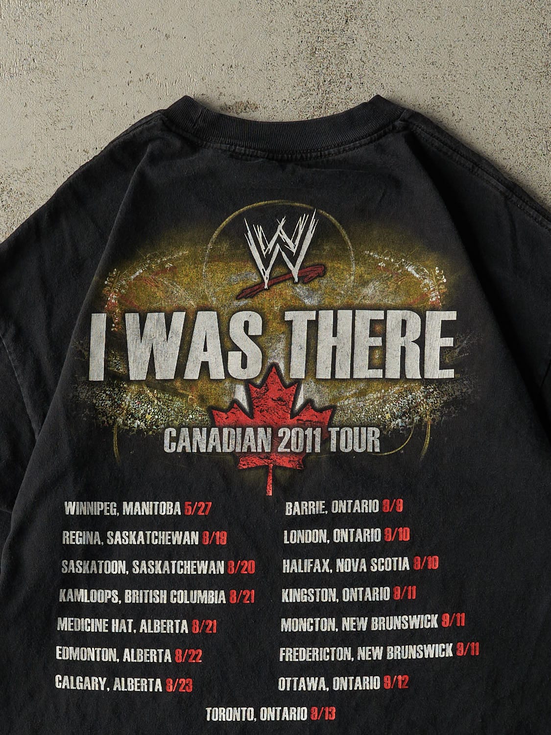Vintage 11' Black WWE Canadian Tour Tee (L)
