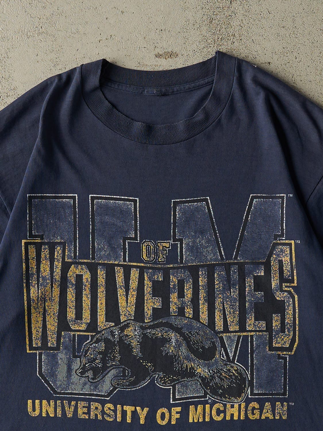 Vintage 90s Sun Faded Navy University of Michigan Wolverines Single Stitch Tee (L/XL)