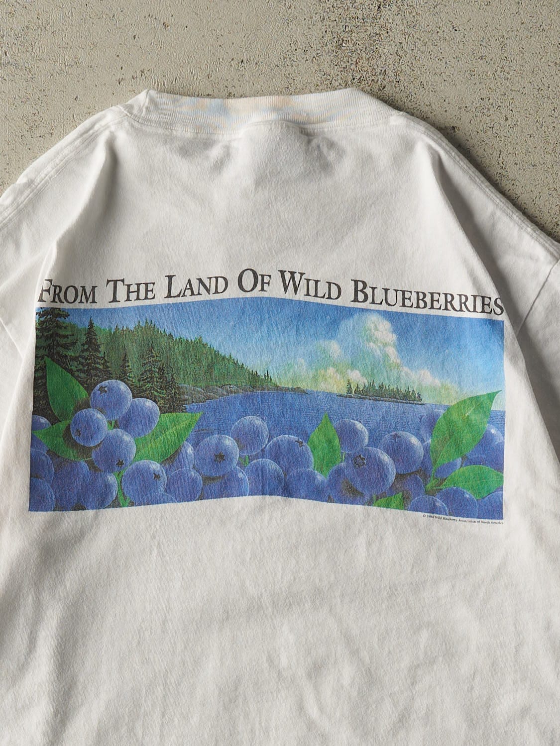 Vintage 94' White Wild Blueberry Tee (S/M)