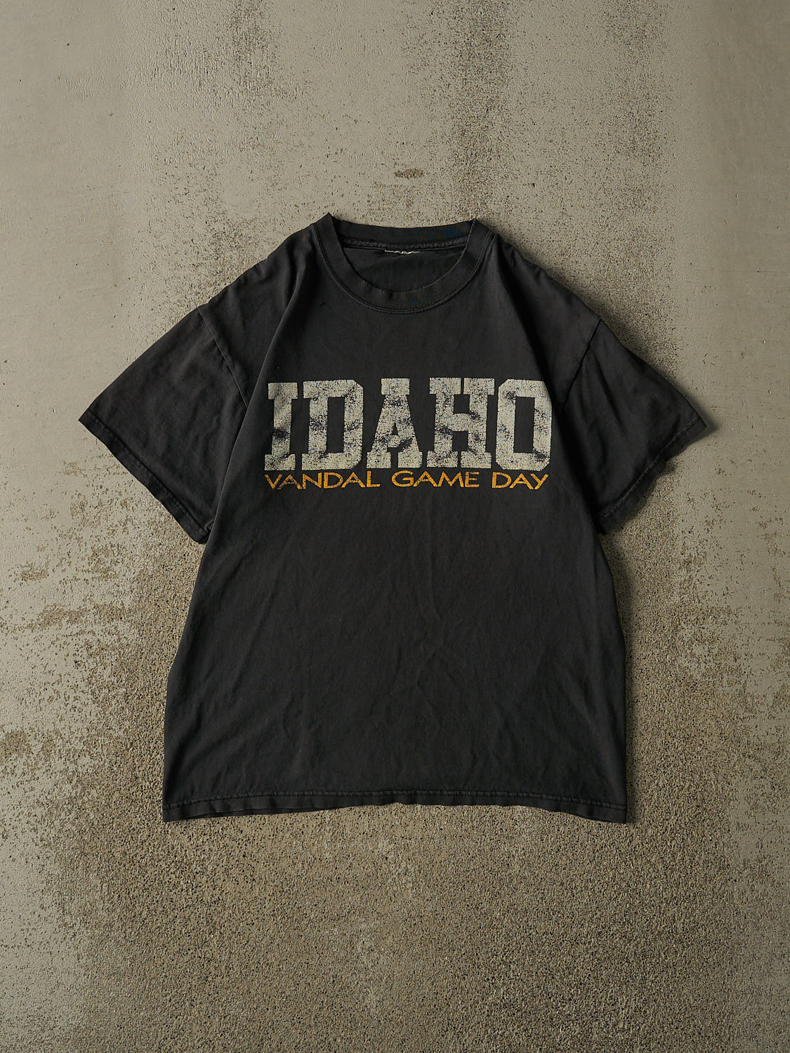 Vintage 90s Faded Black University of Idaho Vandals Tee (M)