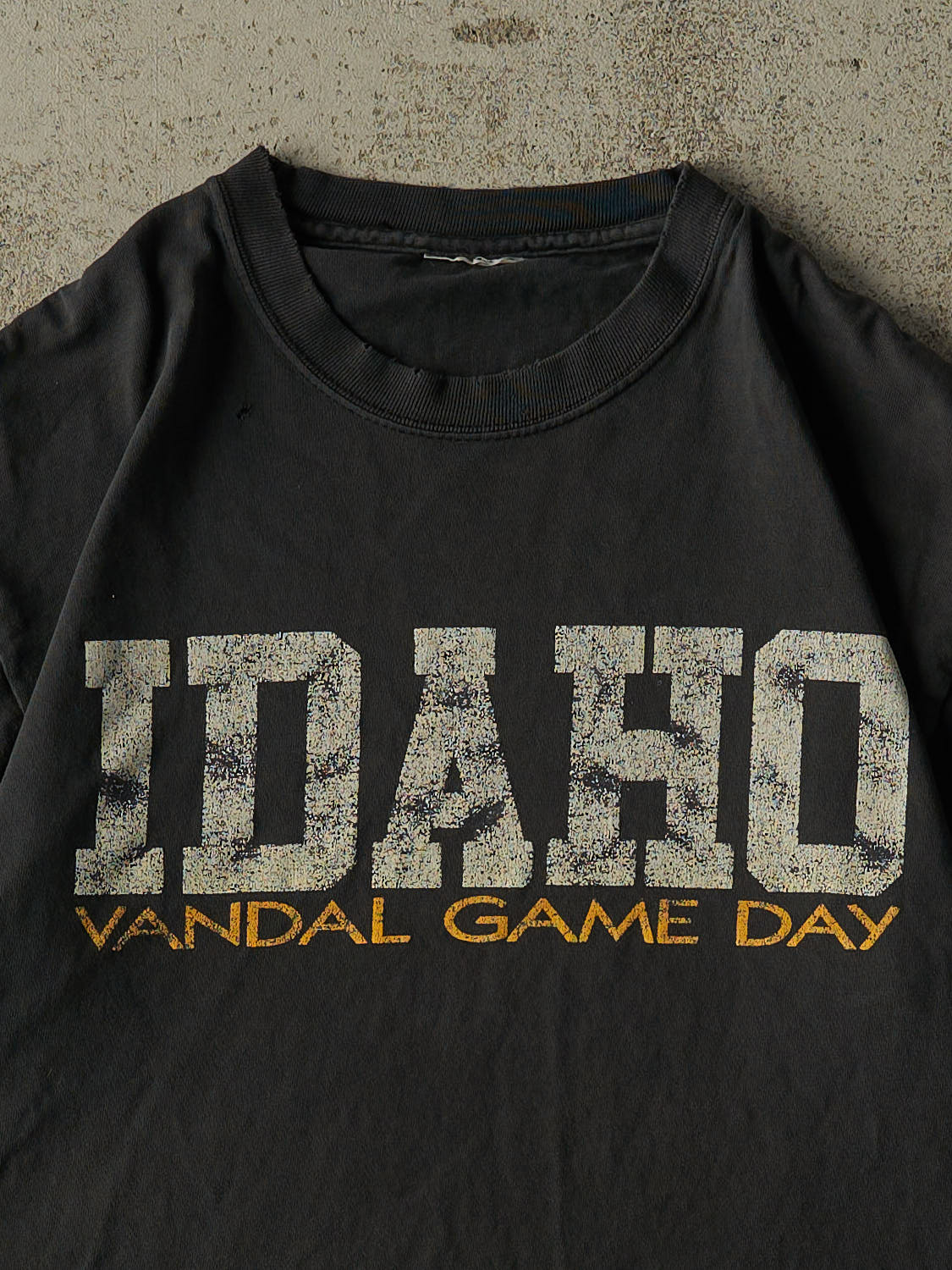 Vintage 90s Faded Black University of Idaho Vandals Tee (M)