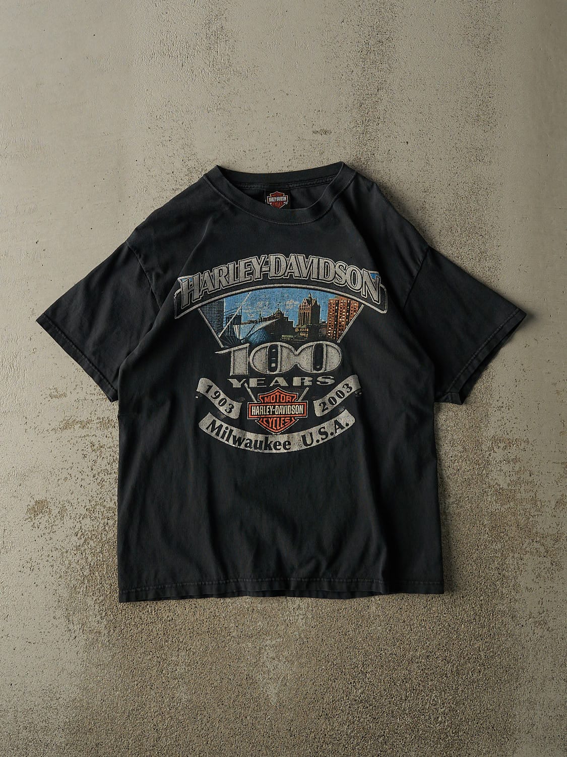 Vintage 03' Black Harley Davidson Milwaukee Tee (L)