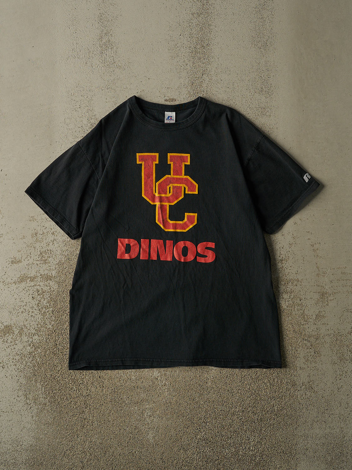 Vintage Y2K Faded Black University of Calgary Dinos Tee (L)