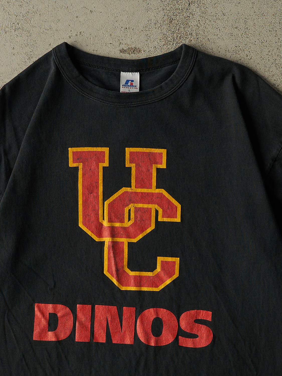 Vintage Y2K Faded Black University of Calgary Dinos Tee (L)