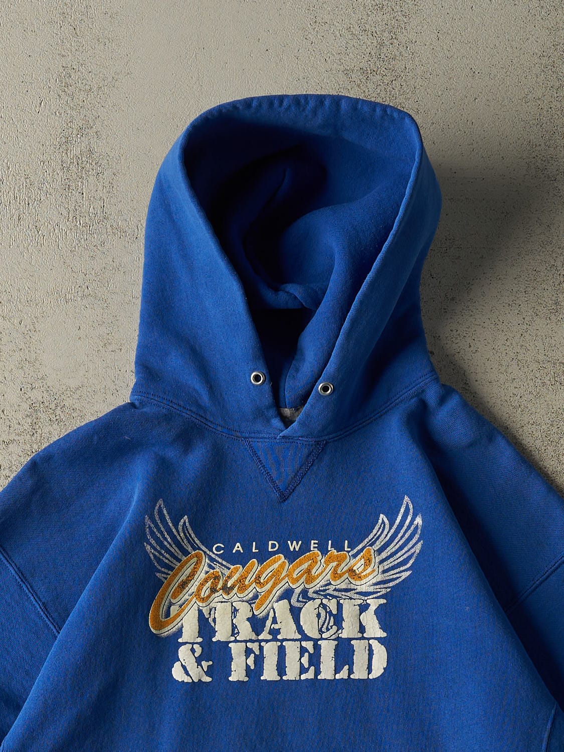 Vintage Y2K Blue Russell Athletic Caldwell Cougars Track & Field Hoodie (L/XL)
