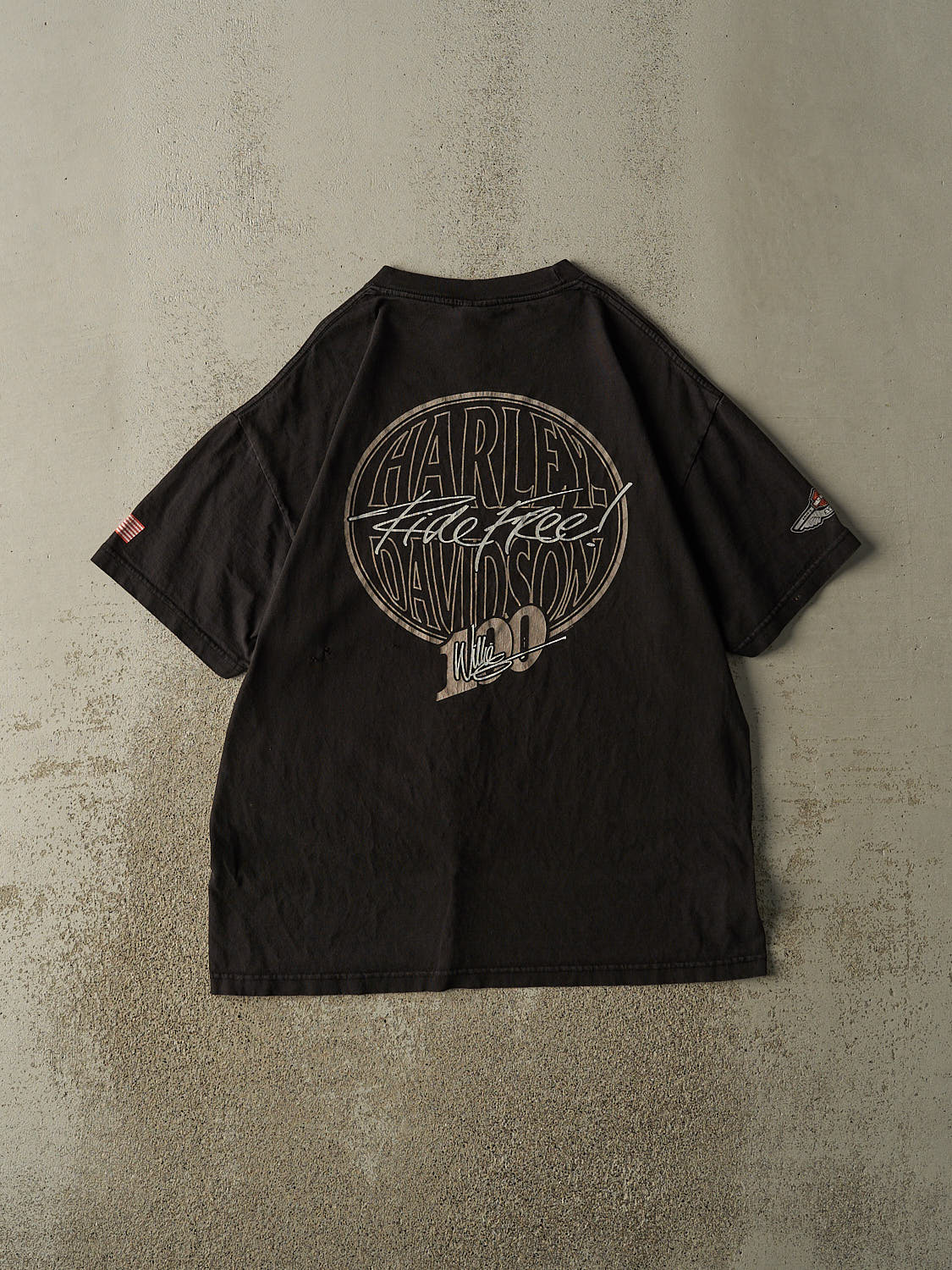 Vintage 03' Black Harley Davidson 100 Years Tee (L/XL)