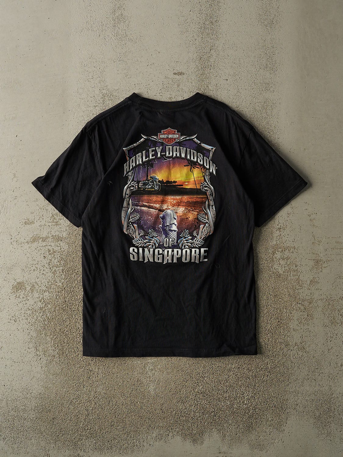 Vintage 07' Black Harley Davidson Singapore Tee (L/XL)