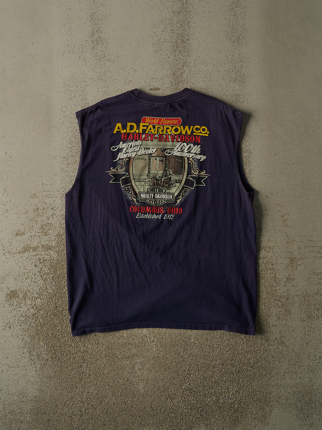 Vintage 10' Sun Faded Navy Harley Davidson Columbus OH Tank (L/XL)