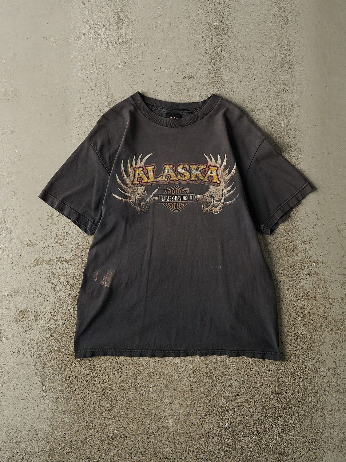 Vintage 13' Faded Black Harley Davidson Denali Park Alaska Tee (M/L)