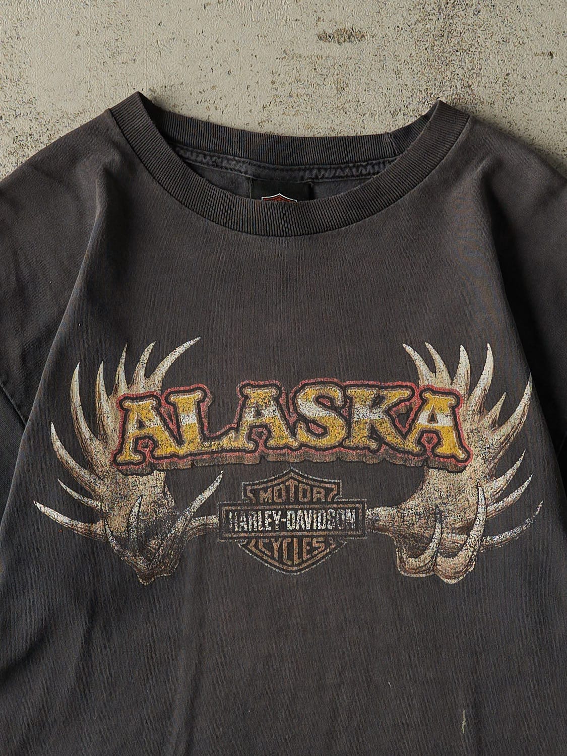Vintage 13' Faded Black Harley Davidson Denali Park Alaska Tee (M/L)