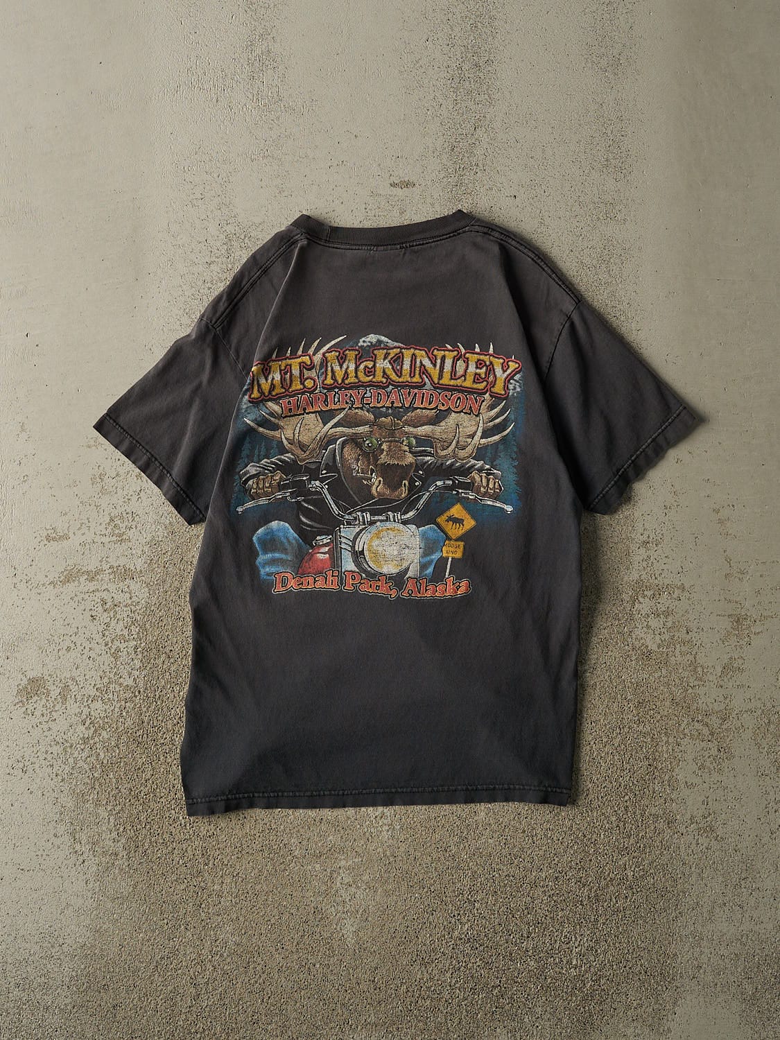 Vintage 13' Faded Black Harley Davidson Denali Park Alaska Tee (M/L)