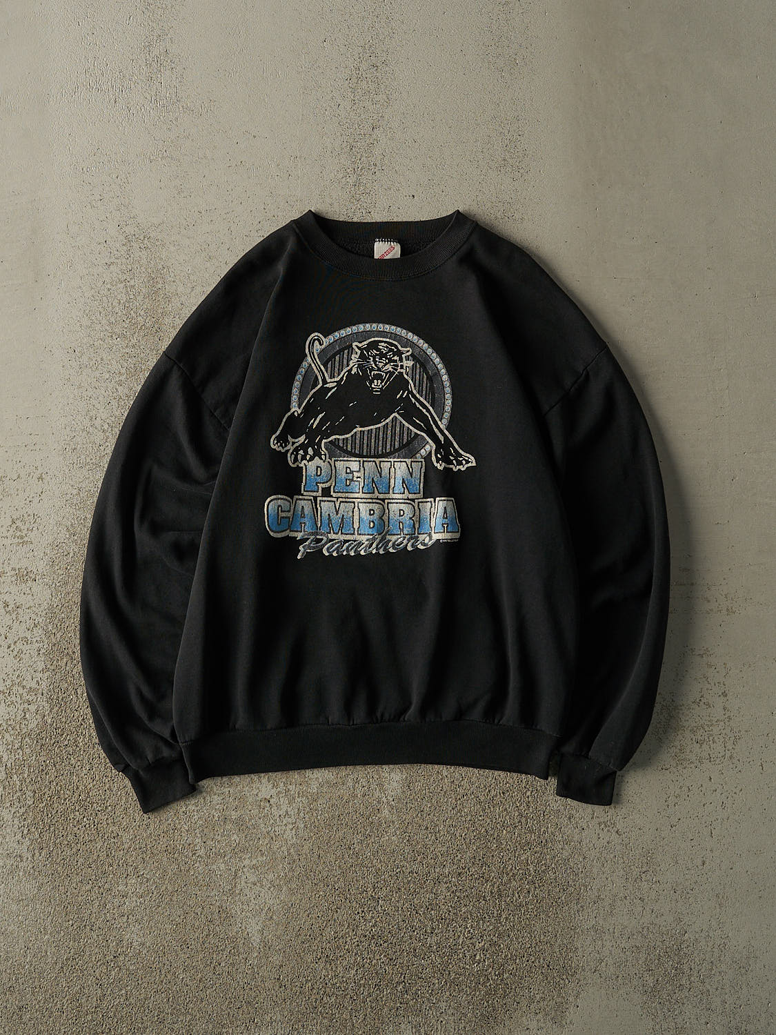 Vintage 95' Black Penn Cambria Panthers Crewneck (M/L)