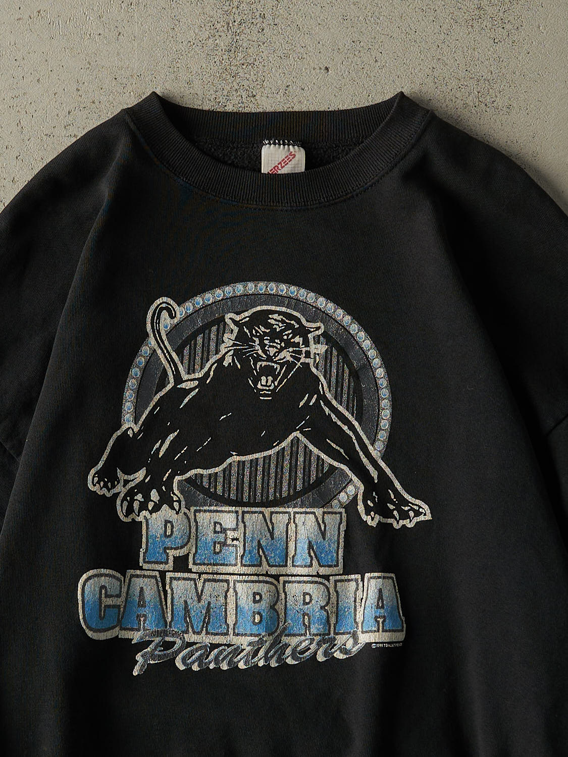 Vintage 95' Black Penn Cambria Panthers Crewneck (M/L)