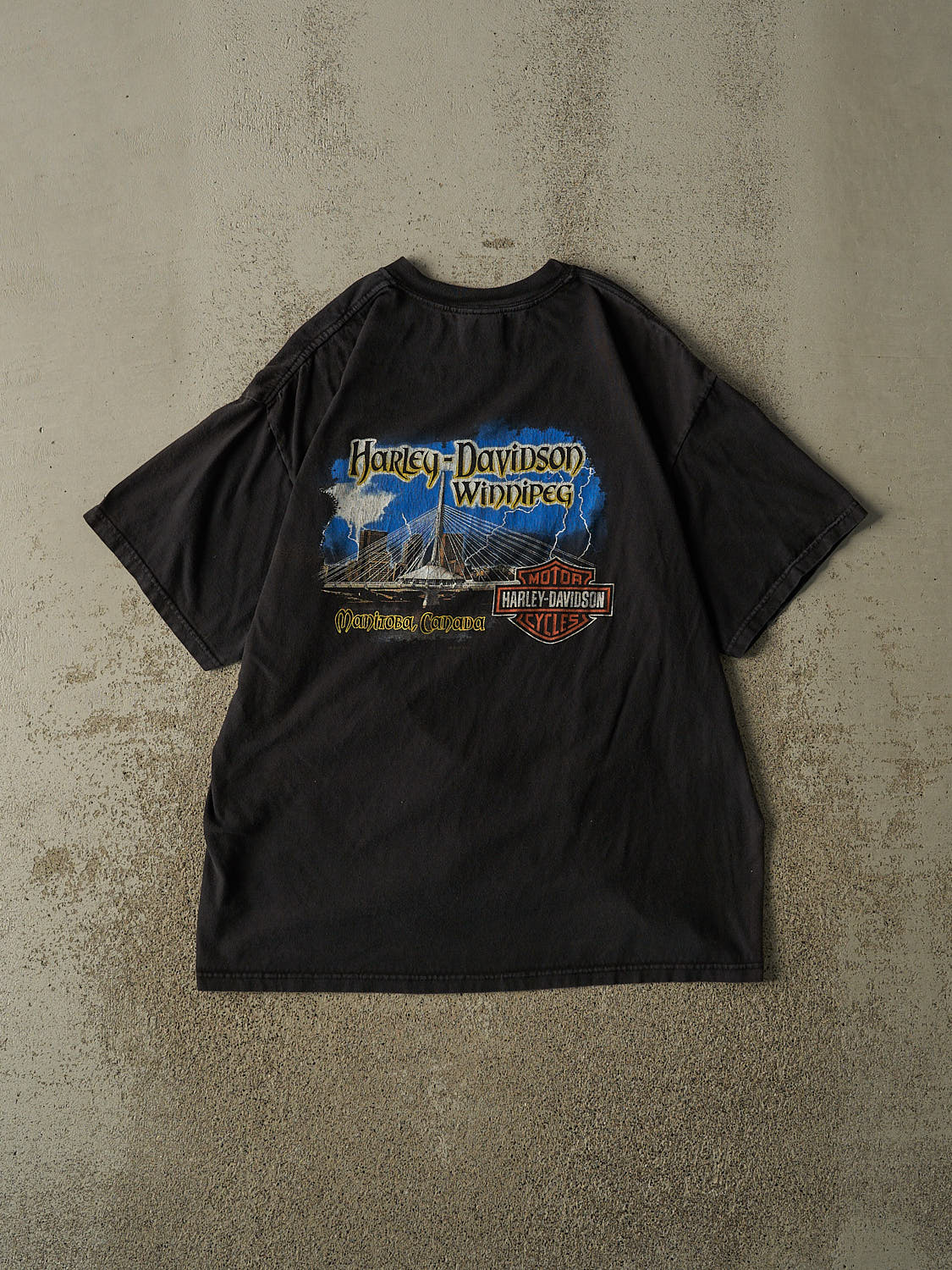 Vintage 07' Black Harley Davidson Winnipeg Tee (L)