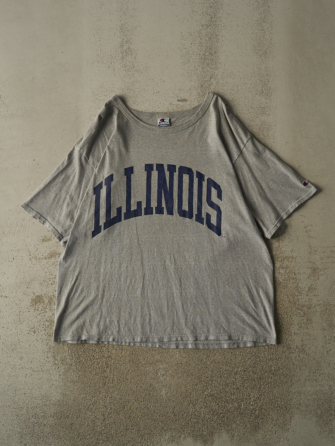 Vintage 90s Grey University of Illinois Champion Tee (XXL)
