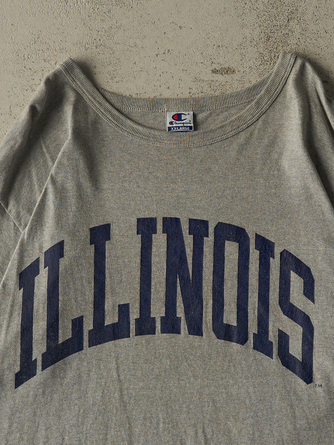Vintage 90s Grey University of Illinois Champion Tee (XXL)