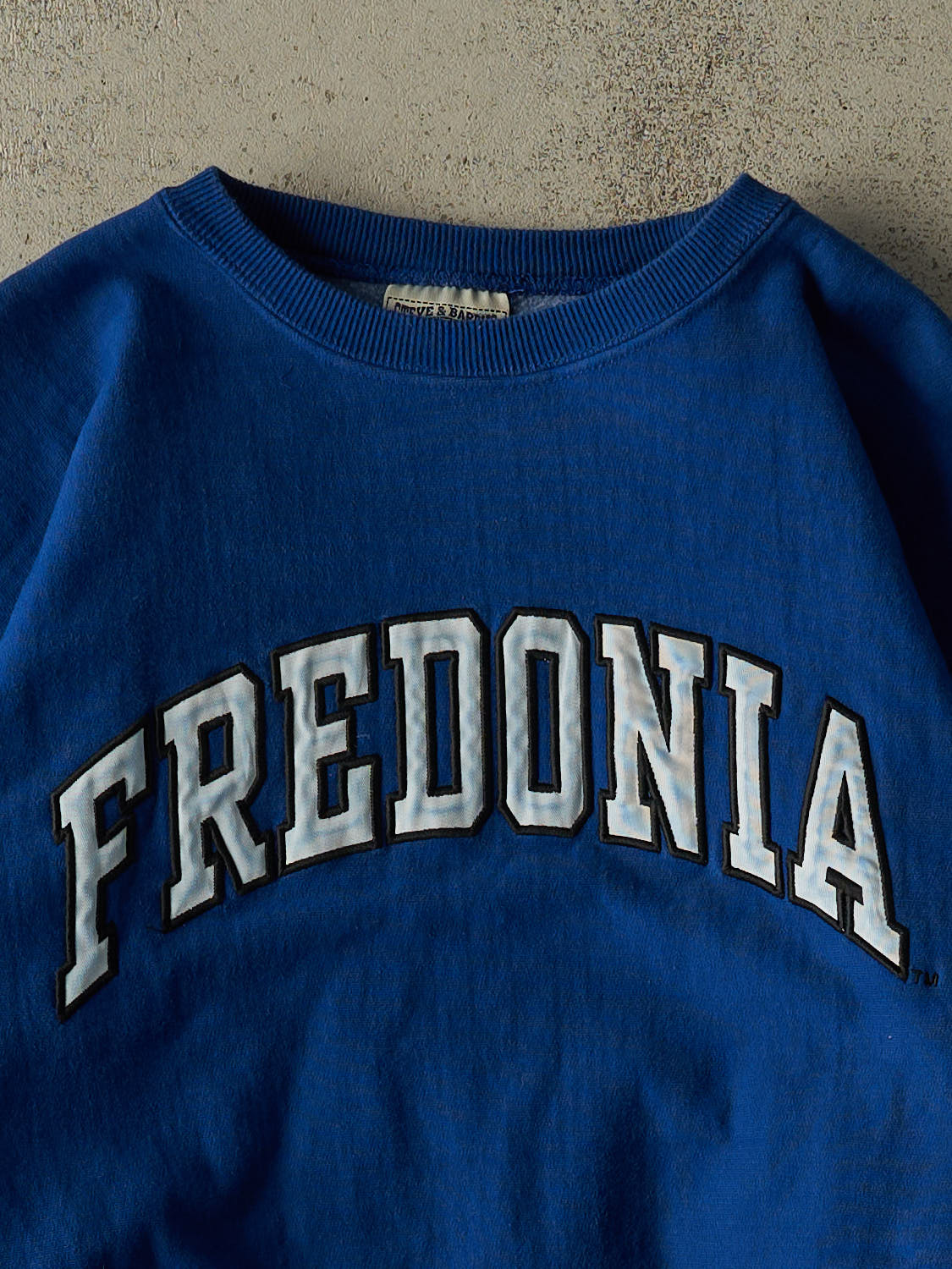 Vintage 90s Blue Fredonia Embroidered Crewneck (L)