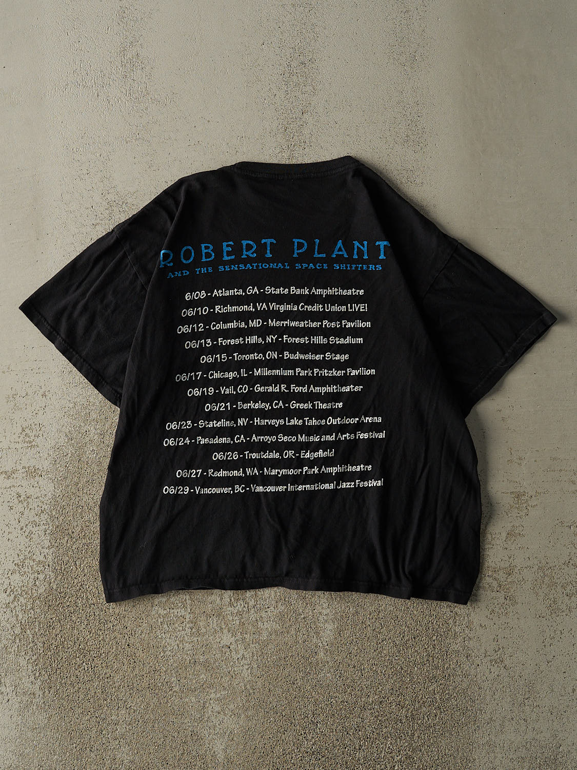 Vintage Y2K Black Robert Plant Tour Tee (M/L)