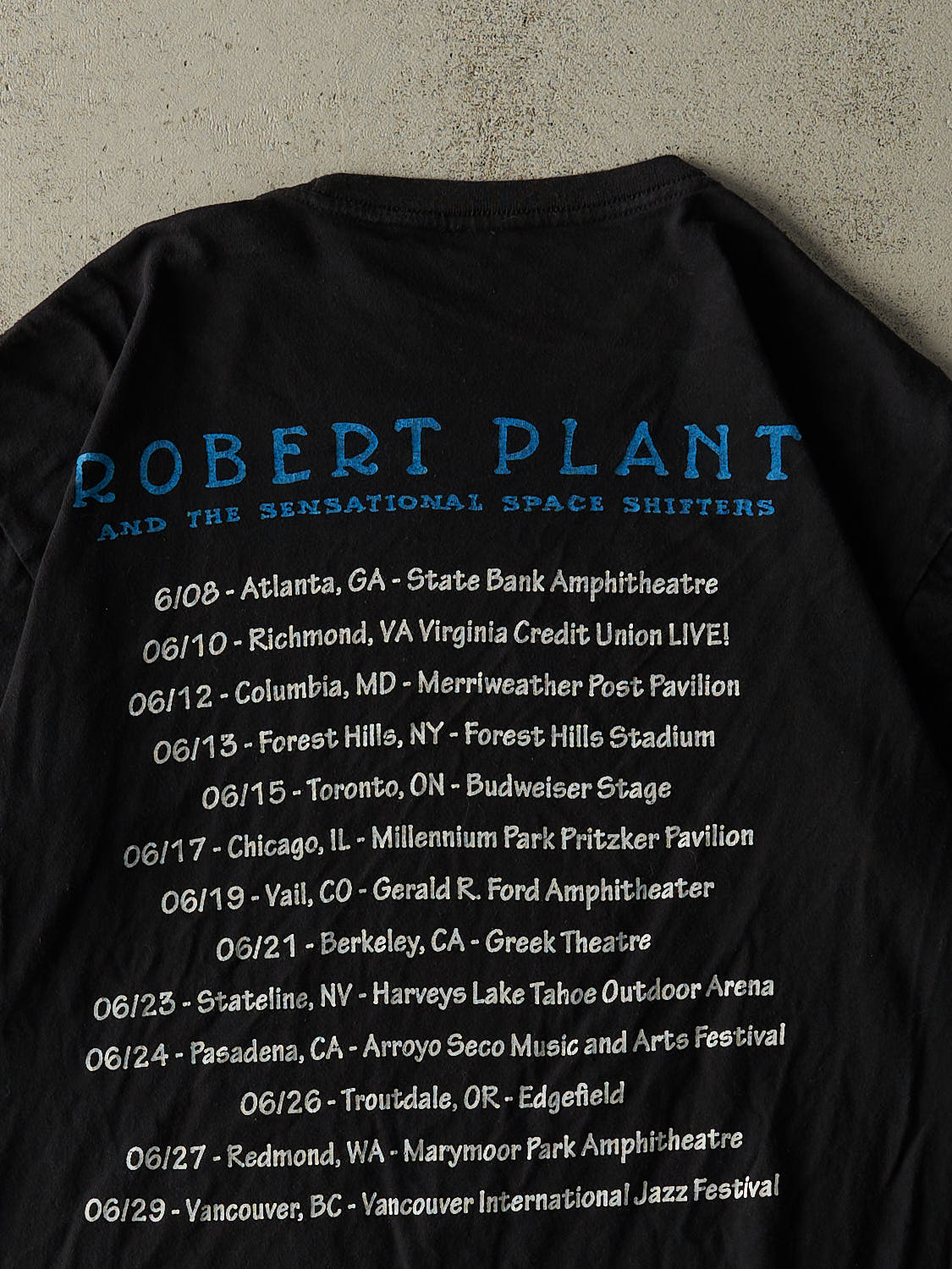 Vintage Y2K Black Robert Plant Tour Tee (M/L)