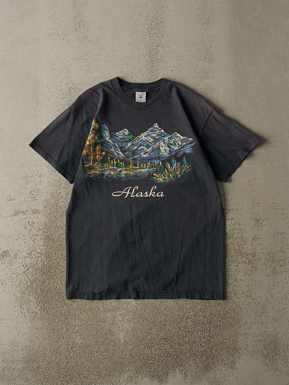Vintage 90s Faded Black Alaska Tee (M/L)