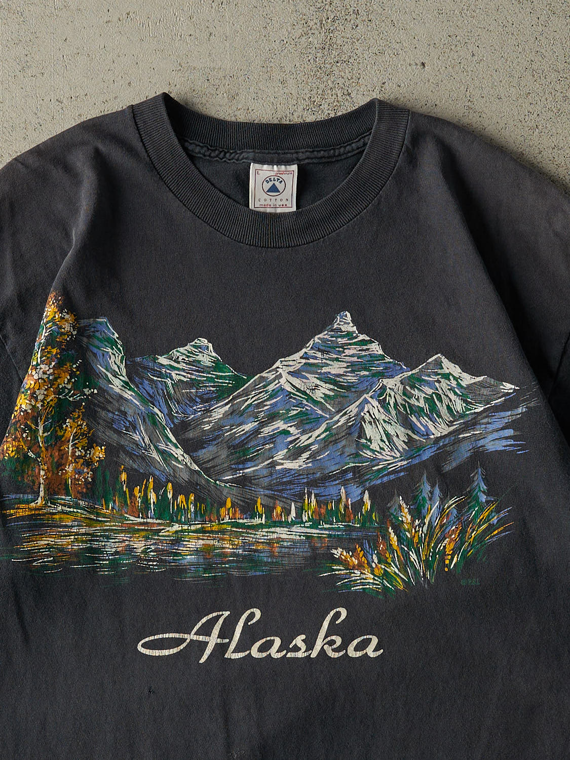 Vintage 90s Faded Black Alaska Tee (M/L)