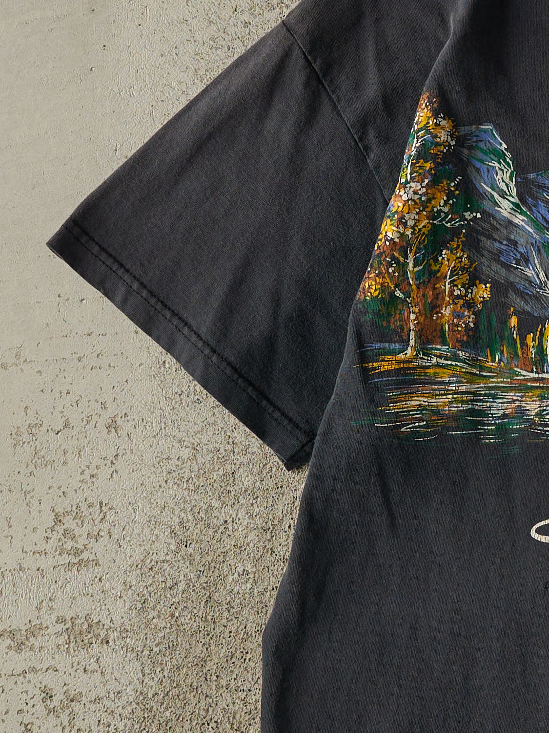 Vintage 90s Faded Black Alaska Tee (M/L)