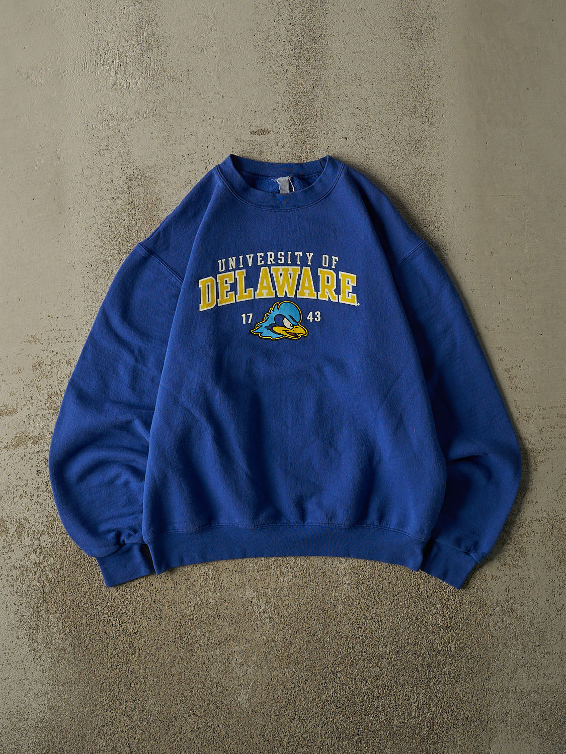 Vintage Y2K Blue Champion University of Delaware Crewneck (S)