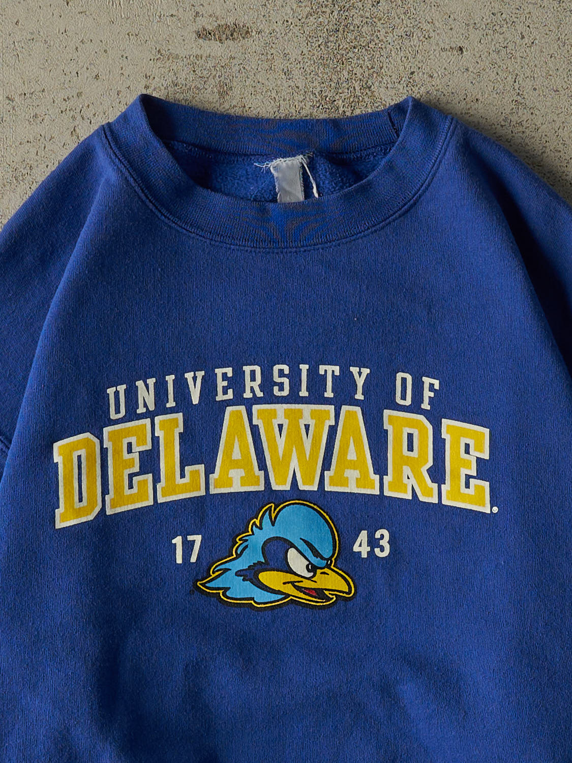 Vintage Y2K Blue Champion University of Delaware Crewneck (S)