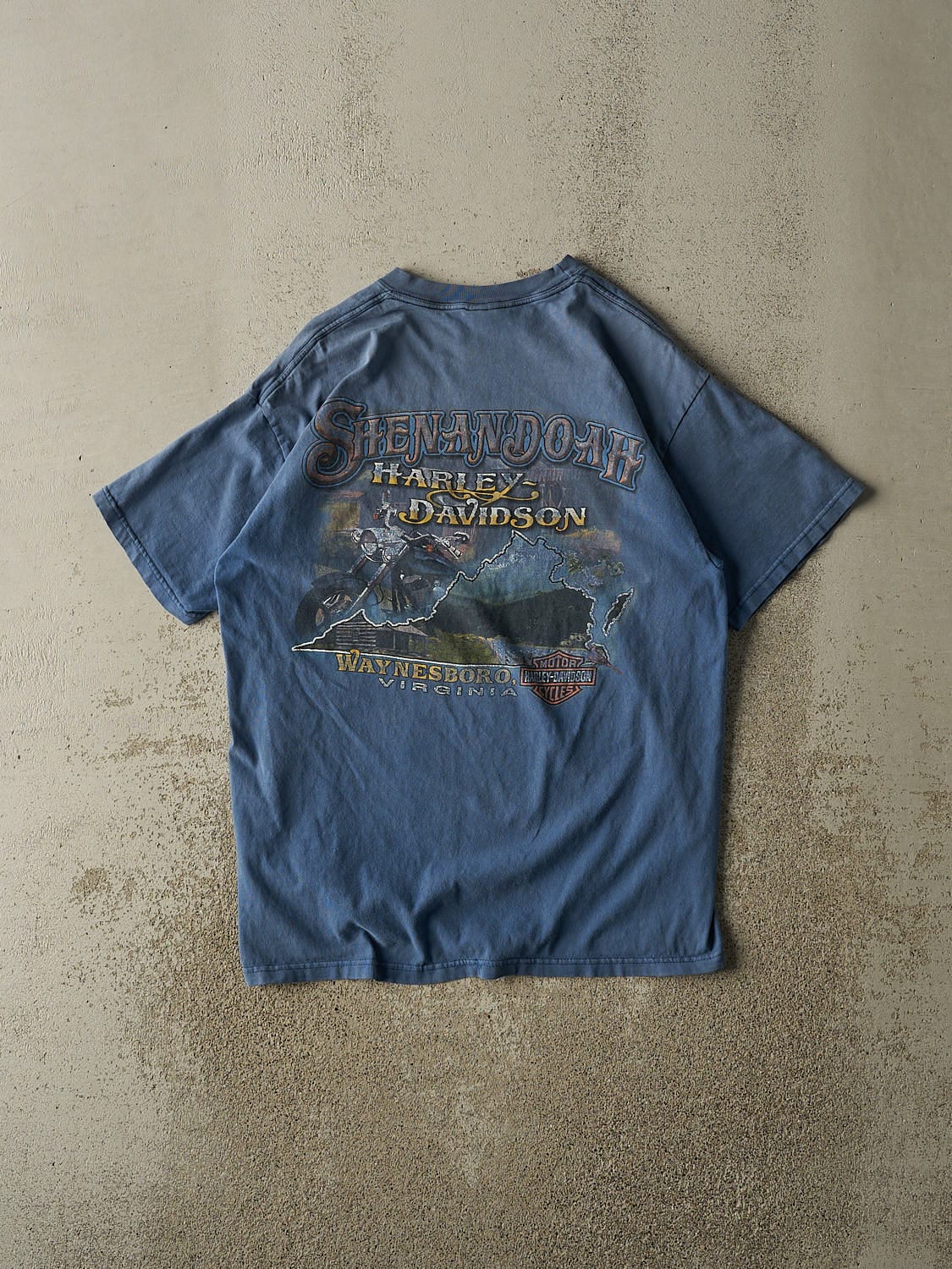Vintage 02' Blue Harley Davidson Waynesboro Virginia Tee (M/L)