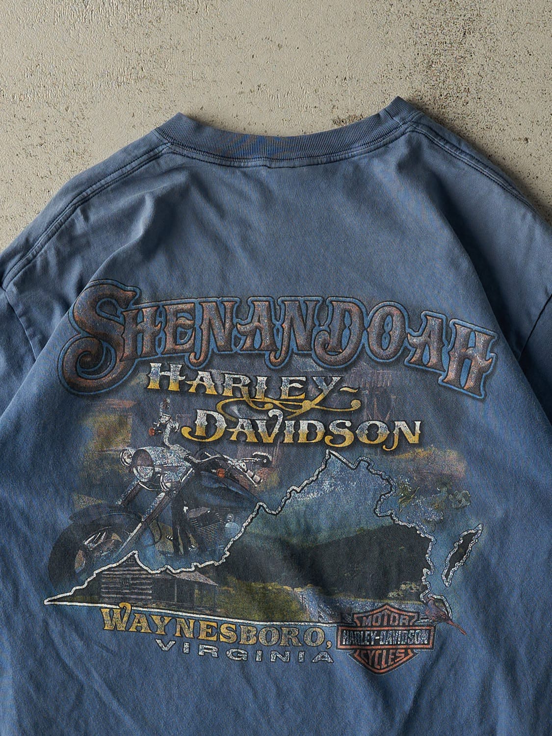 Vintage 02' Blue Harley Davidson Waynesboro Virginia Tee (M/L)