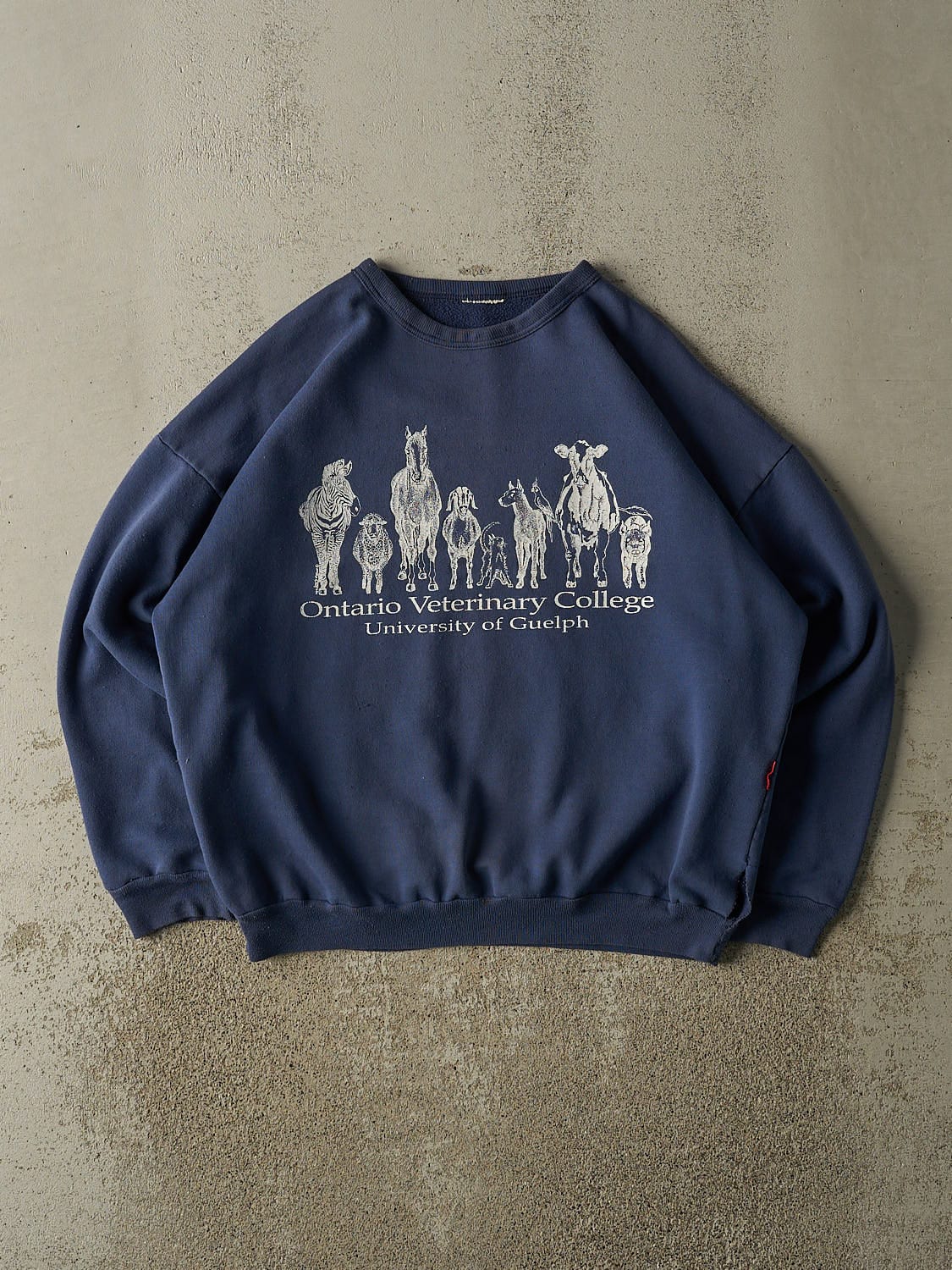Vintage 90s Blue University of Guelph OVC Crewneck (M/L)
