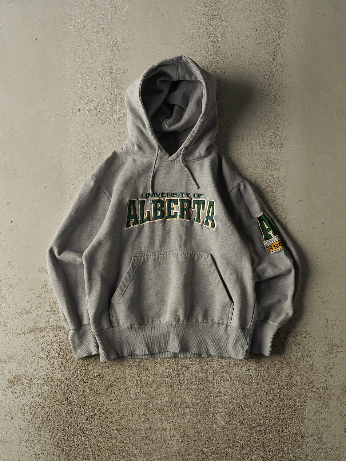 Vintage Y2K Grey University of Alberta Hoodie (XS)