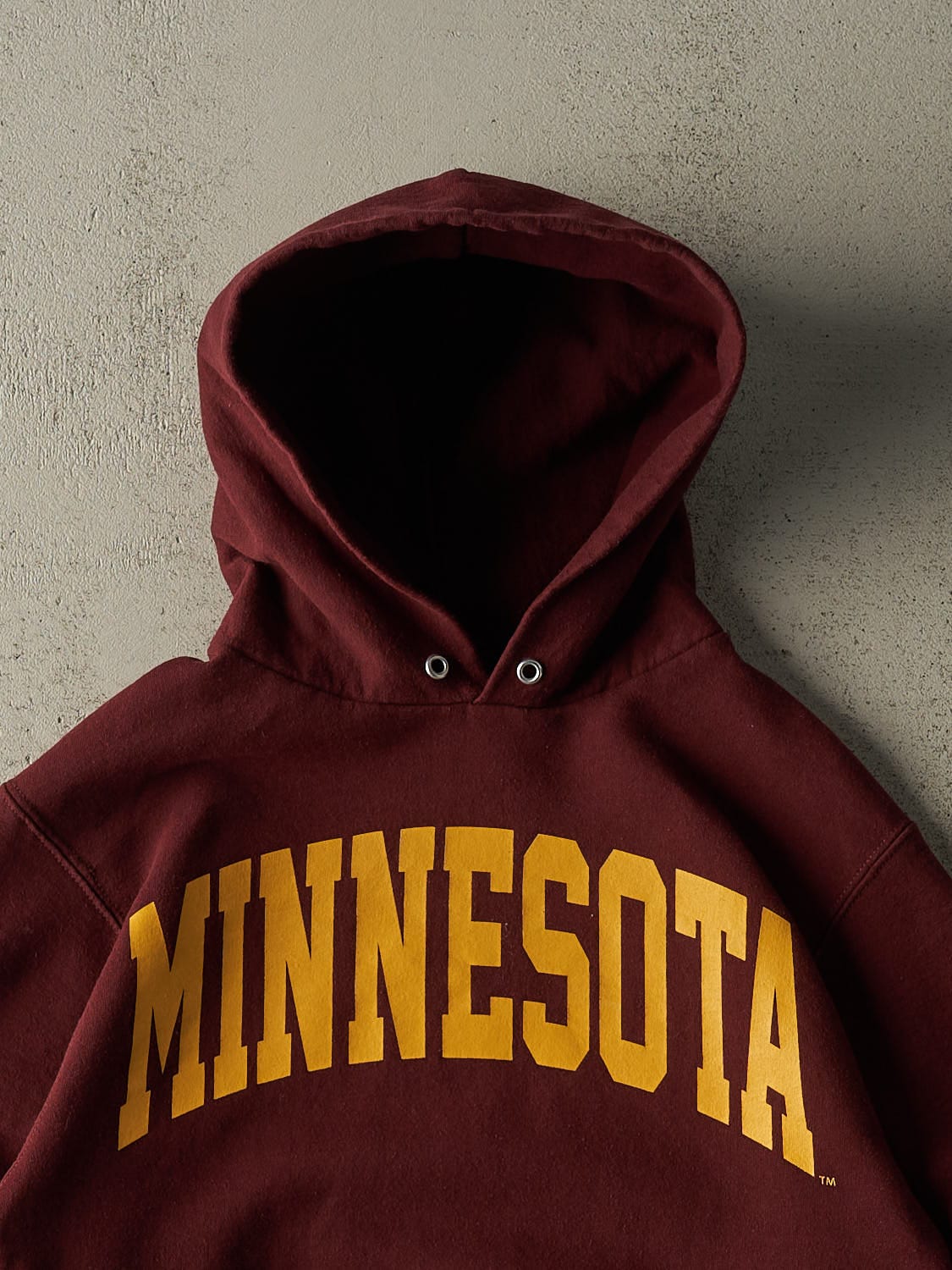Vintage Y2K Burgundy University of Minnesota Champion Hoodie (S)