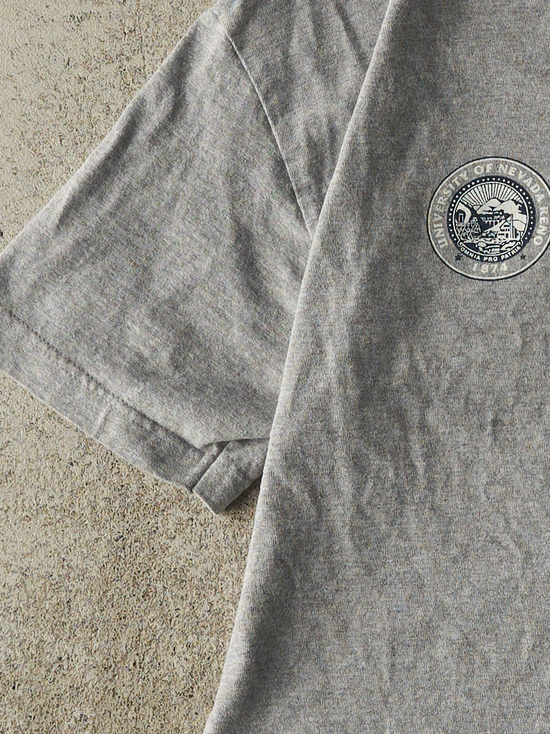 Vintage 90s Grey University of Nevada Tee (L)