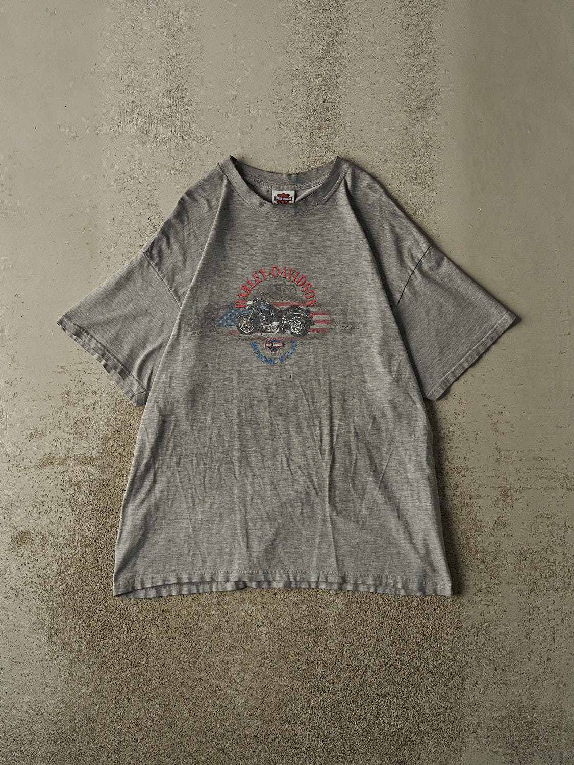 Vintage Y2K Grey Harley Davidson Grand Canyon Tee (L/XL)