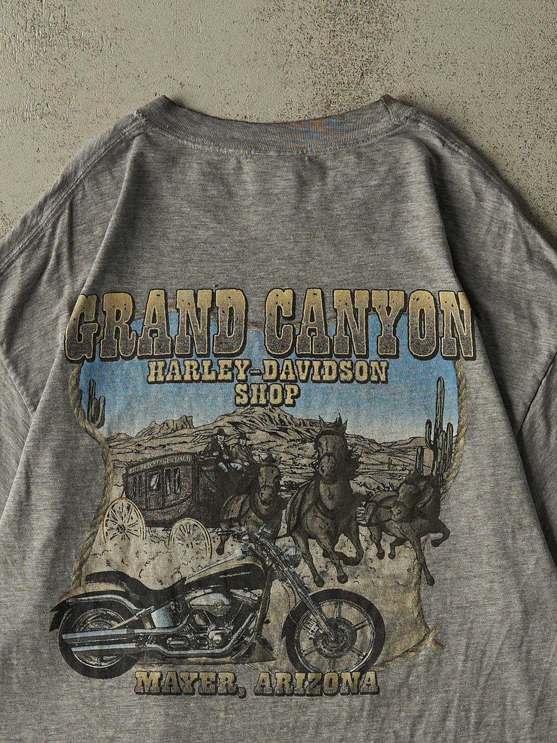 Vintage Y2K Grey Harley Davidson Grand Canyon Tee (L/XL)