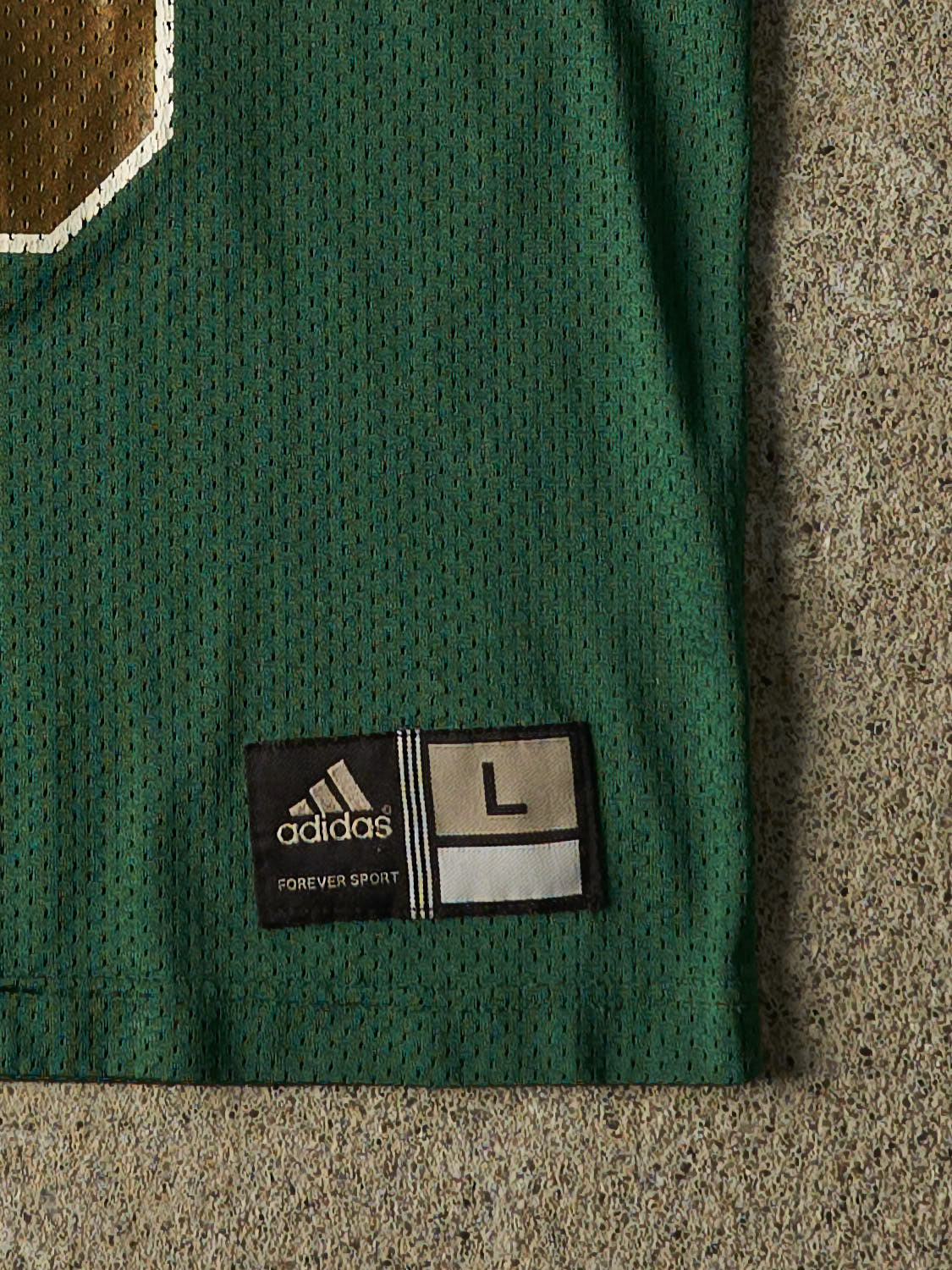 Vintage Y2K Green University of Notre Dame #10 Football Jersey (M)