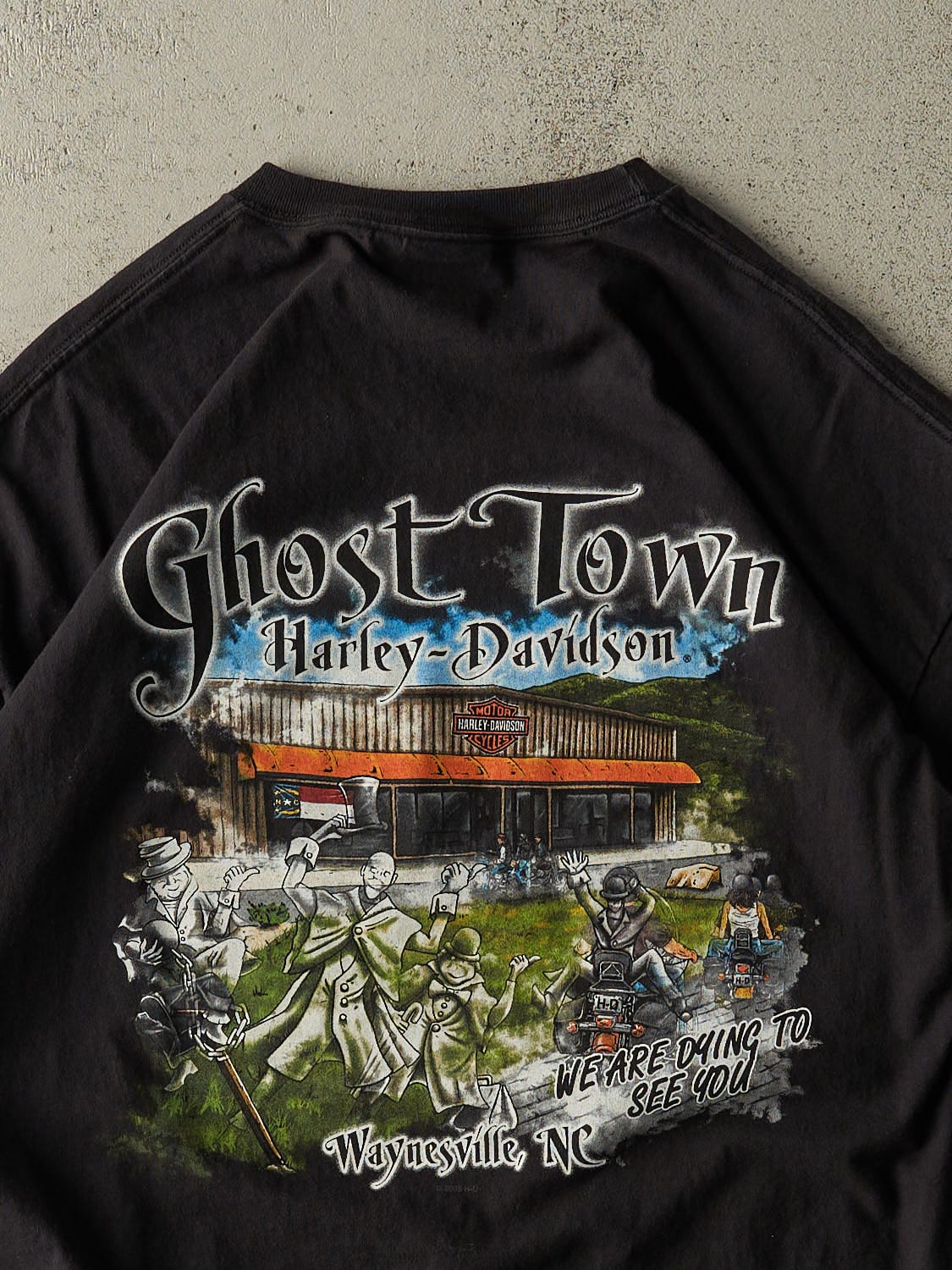Vintage 08' Black Harley Davidson Waynesville NC Tee (XL/XXL)