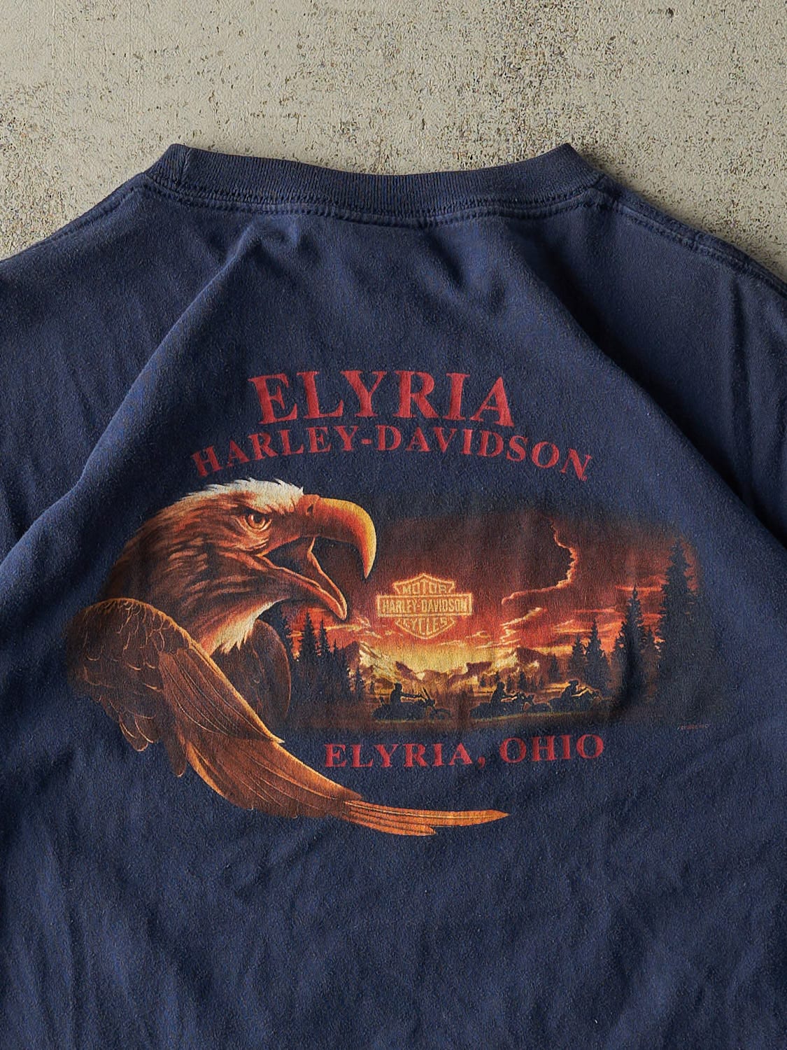Vintage 05' Navy Blue Harley Davidson Elyria OH Tee (L/XL)