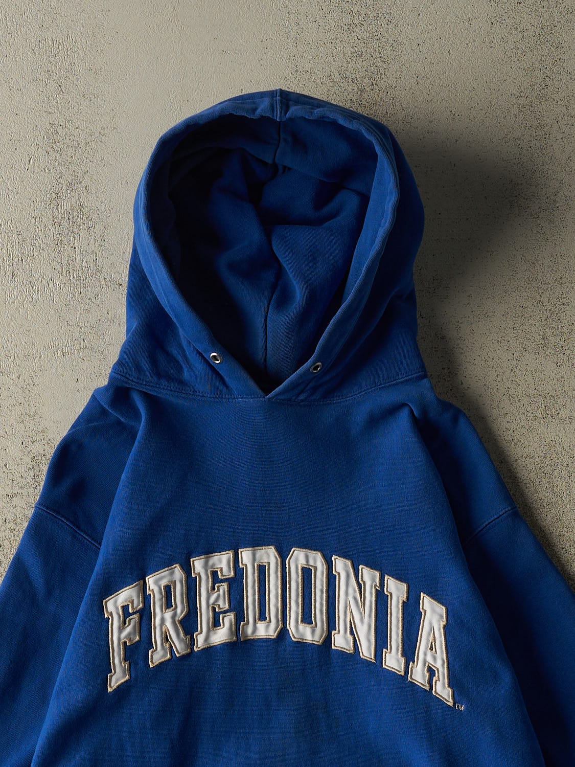 Vintage Y2K Blue Fredonia Embroidered Hoodie (XL/XXL)