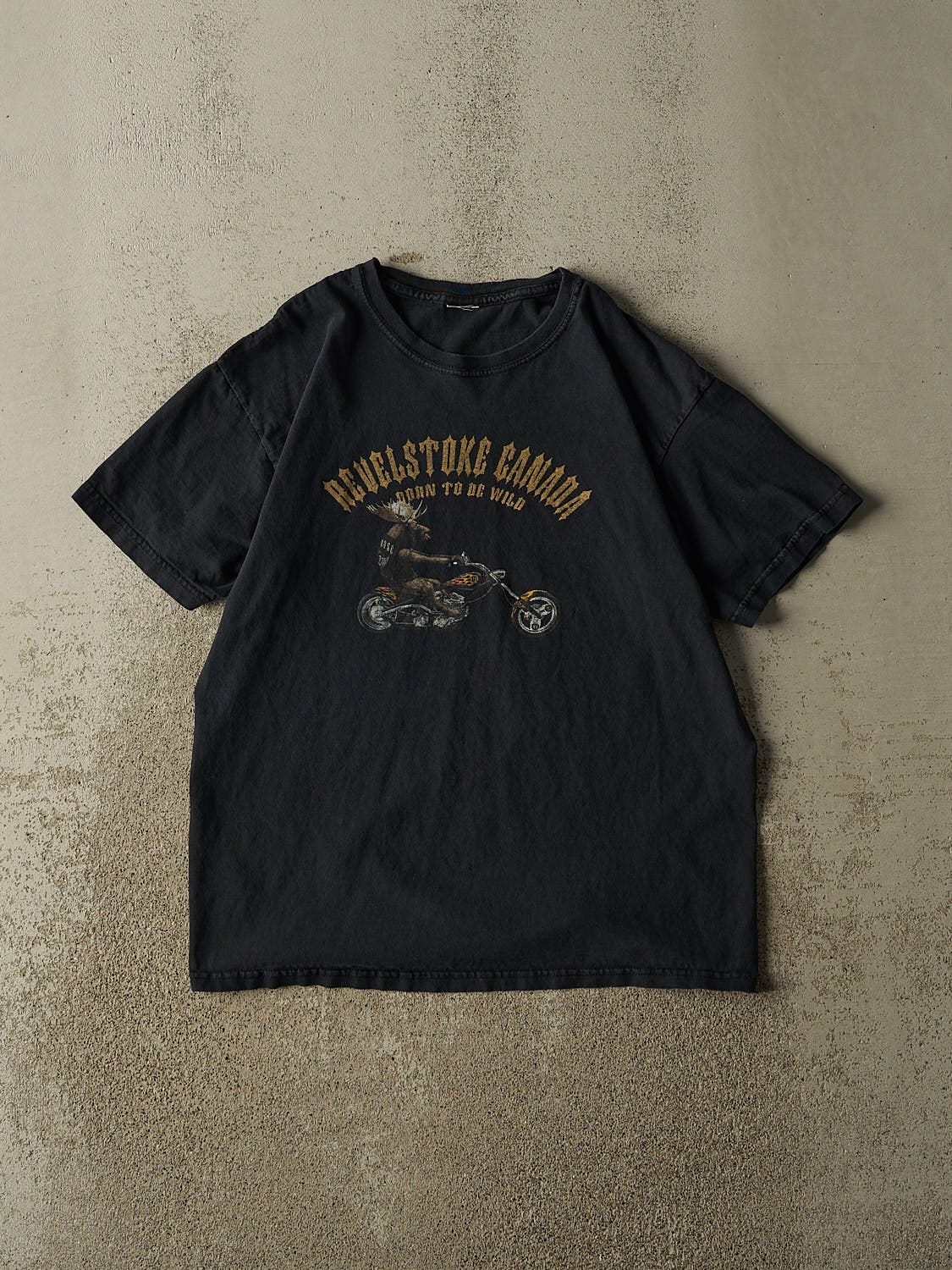 Vintage Y2K Faded Black Revelstoke Canada Tee (M)