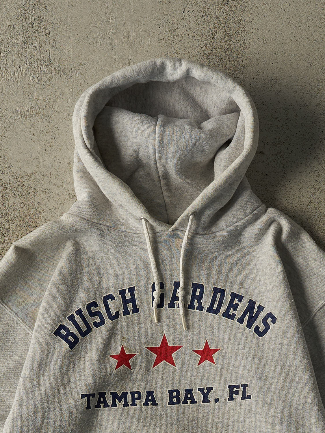 Vintage 90s Grey Busch Gardens Hoodie (S)