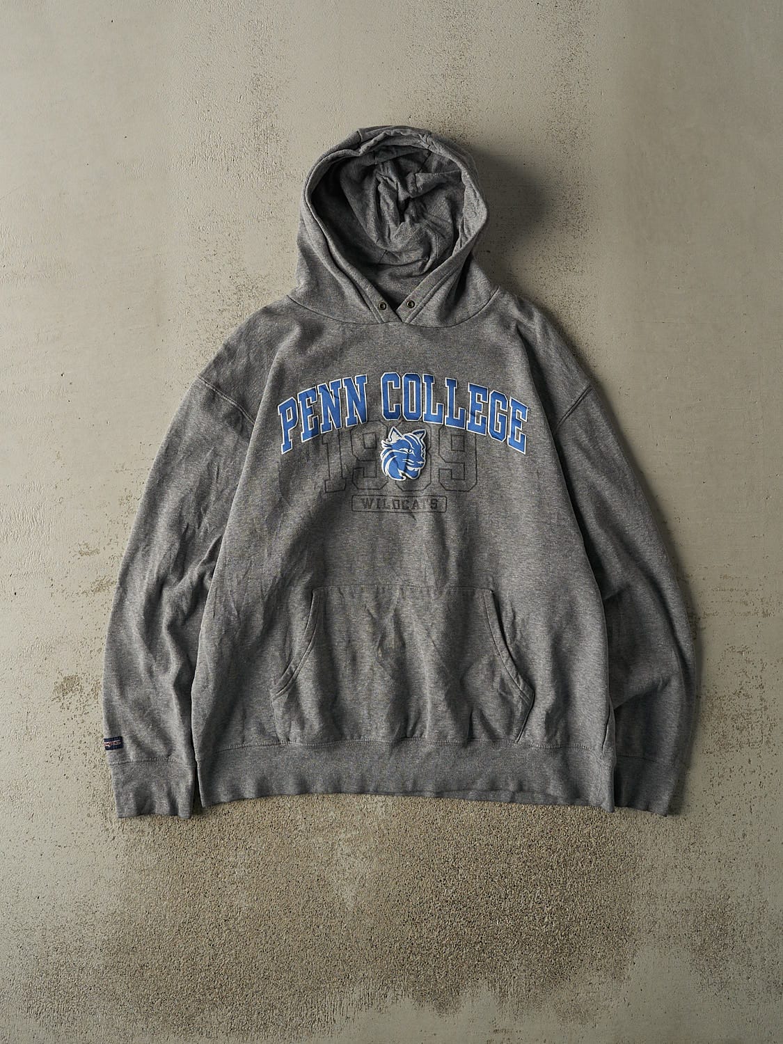 Vintage Y2K Grey Penn College Wildcats Hoodie (XL)